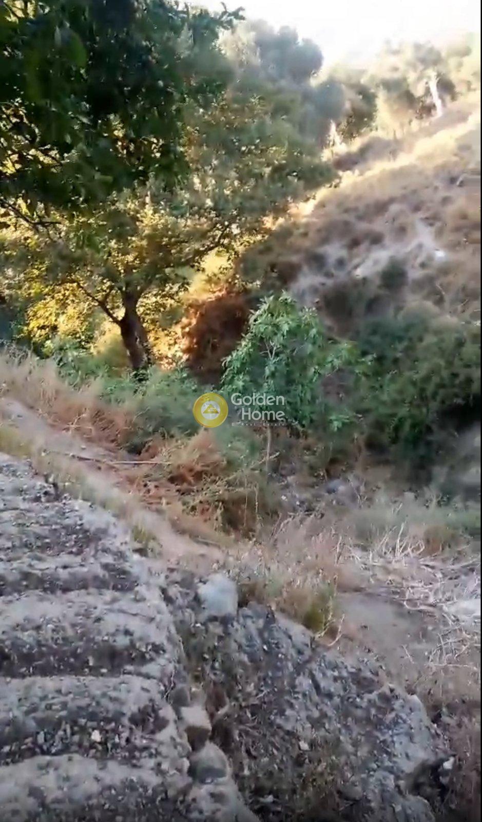 תמונת בית, לאפה, רתמינון למכירה (0)