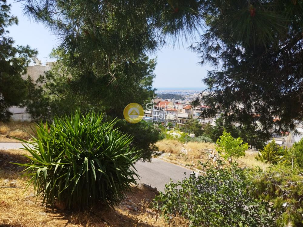 תמונת בניין, ניקיה למכירה (0)