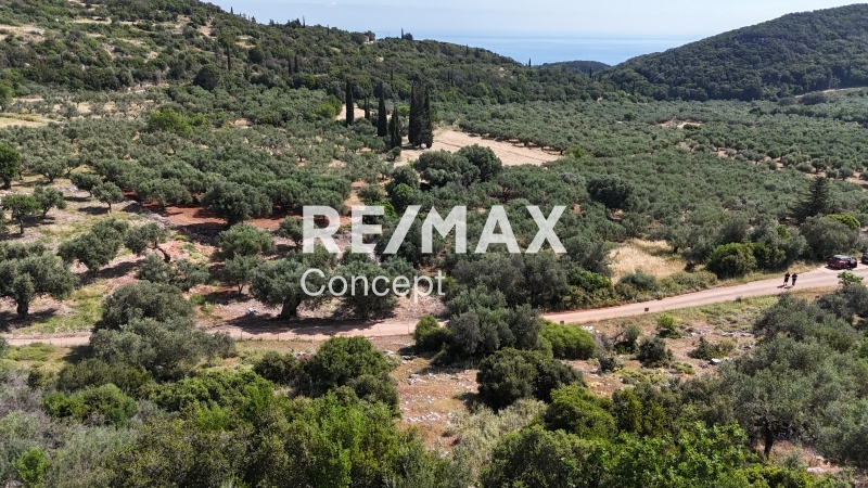 תמונת מגרש, רשות מקומית זקינתוס למכירה (0)