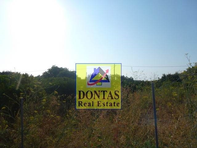 תמונת מגרש, רשות מקומית חיוס למכירה (0)