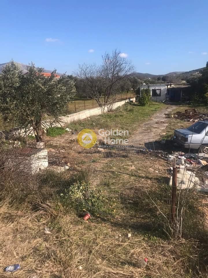 תמונת בית, סרוניקוס למכירה (0)