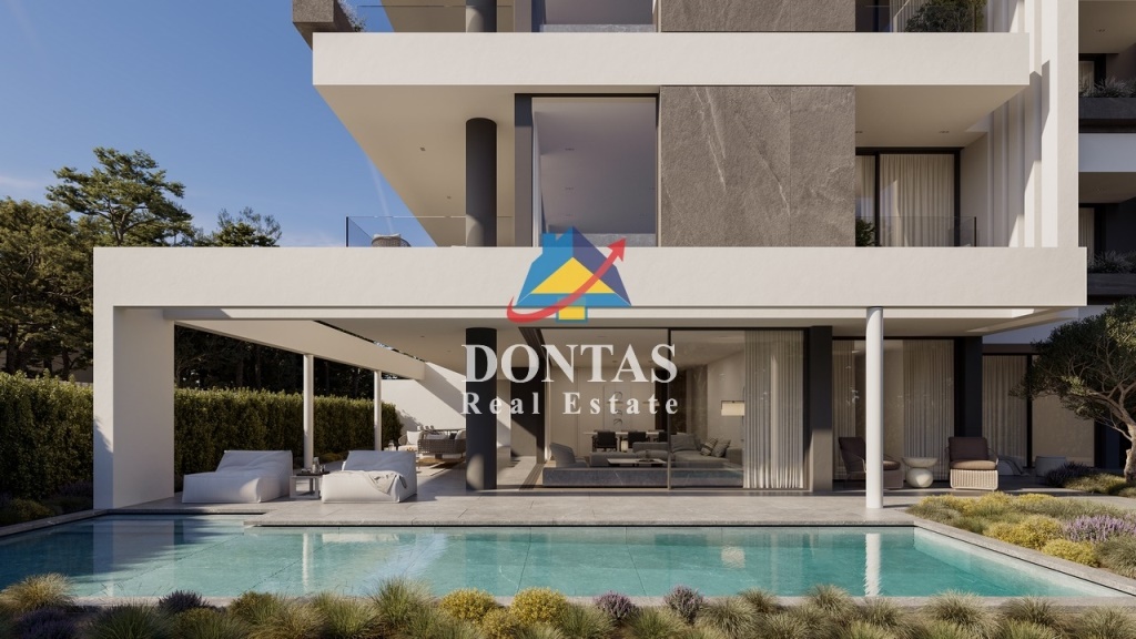 תמונת דירה, דיוניסוס למכירה (0)