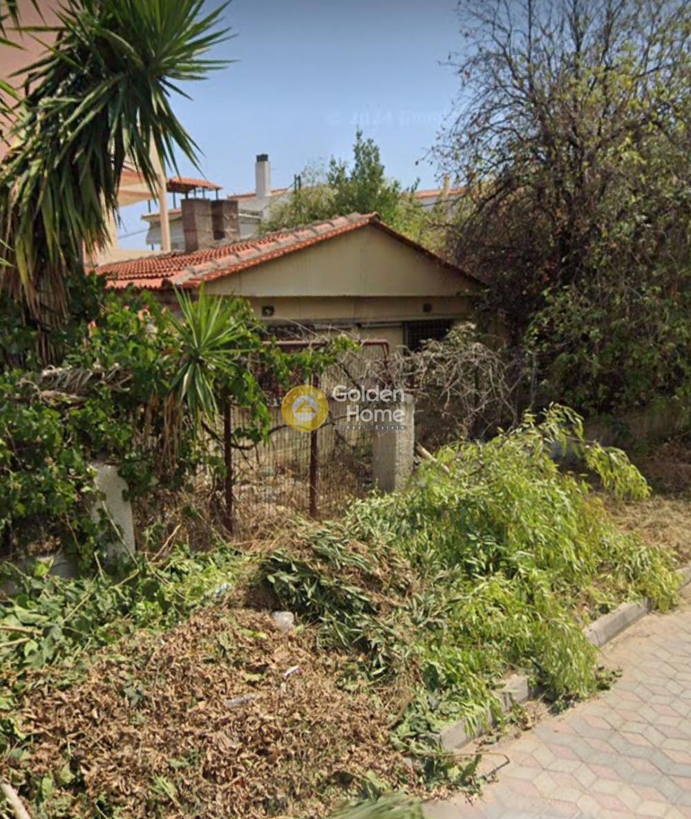 תמונת בית, גליקה נרה למכירה (0)