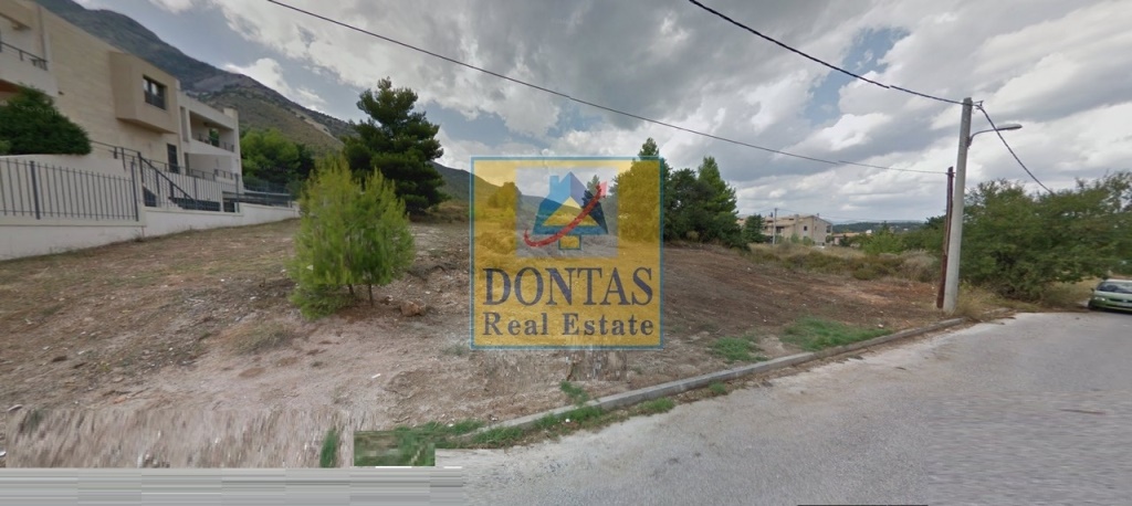 תמונת מגרש, דיוניסוס, אתונה למכירה (0)