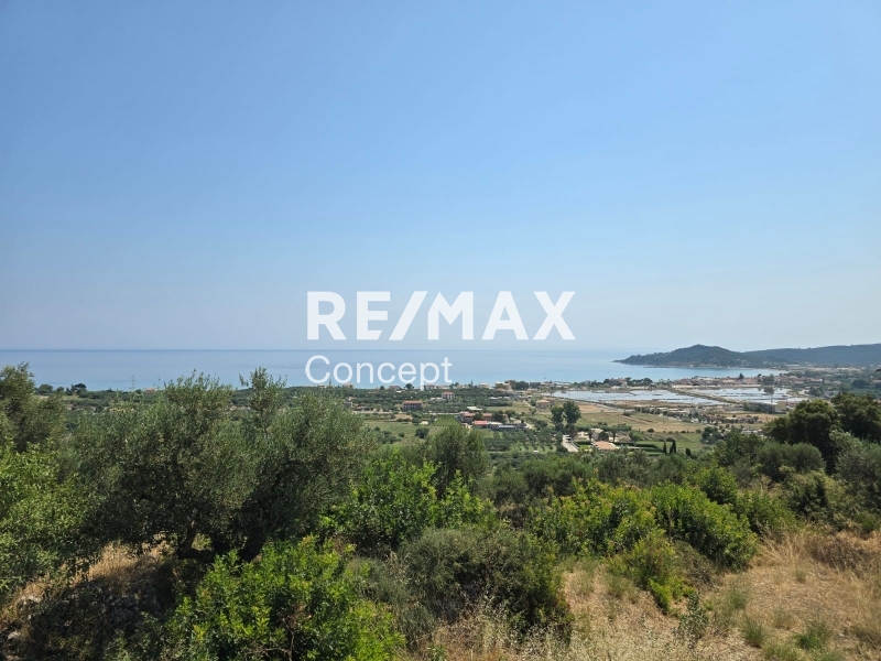 תמונת מגרש, רשות מקומית זקינתוס למכירה (0)