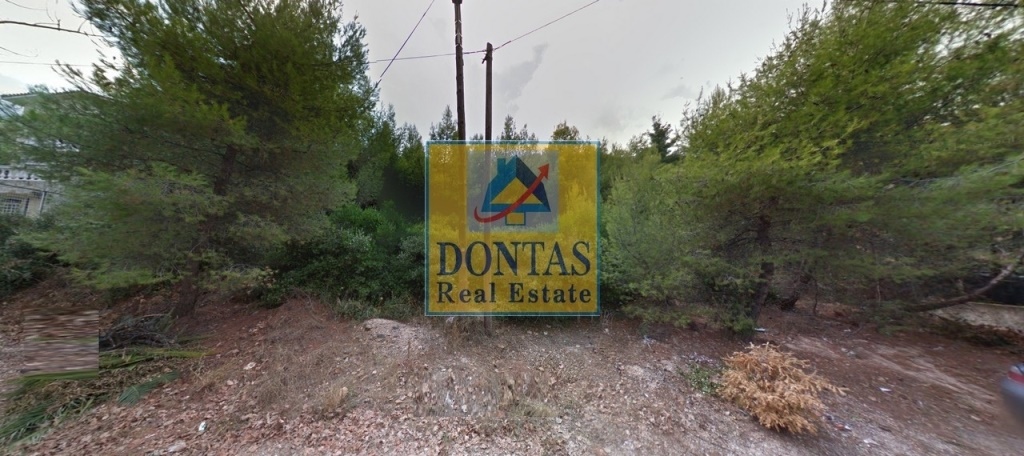 תמונת מגרש, דיוניסוס למכירה (0)