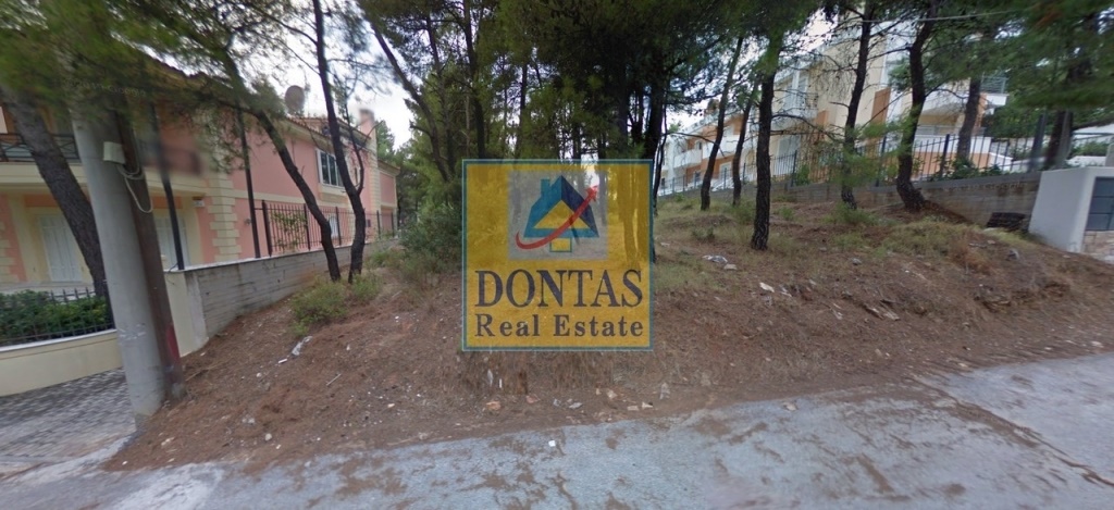 תמונת מגרש, דיוניסוס למכירה (0)