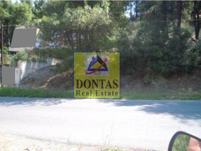 תמונת מגרש, דיוניסוס למכירה (0)