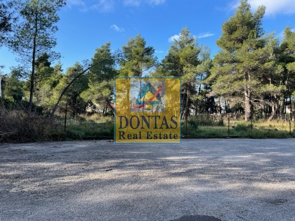 תמונת מגרש, קיפיסיה, אתונה למכירה (0)