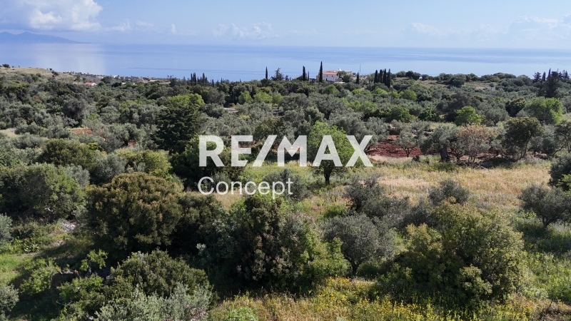 תמונת מגרש, רשות מקומית זקינתוס למכירה (0)