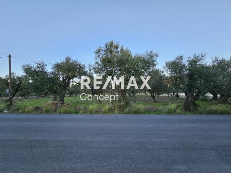 תמונת מגרש, זקינתוס למכירה (0)