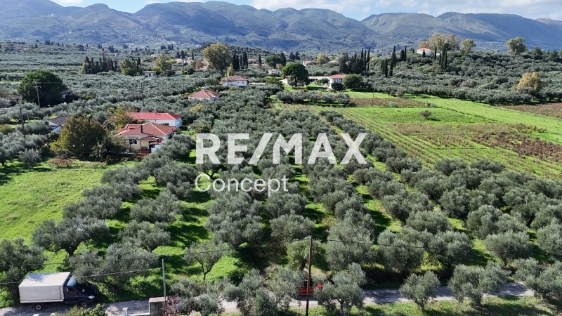 תמונת מגרש, זקינתוס למכירה (0)