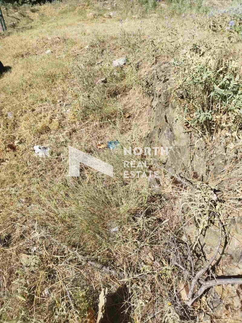 תמונת מגרש, פאבלוס מאלס למכירה (0)