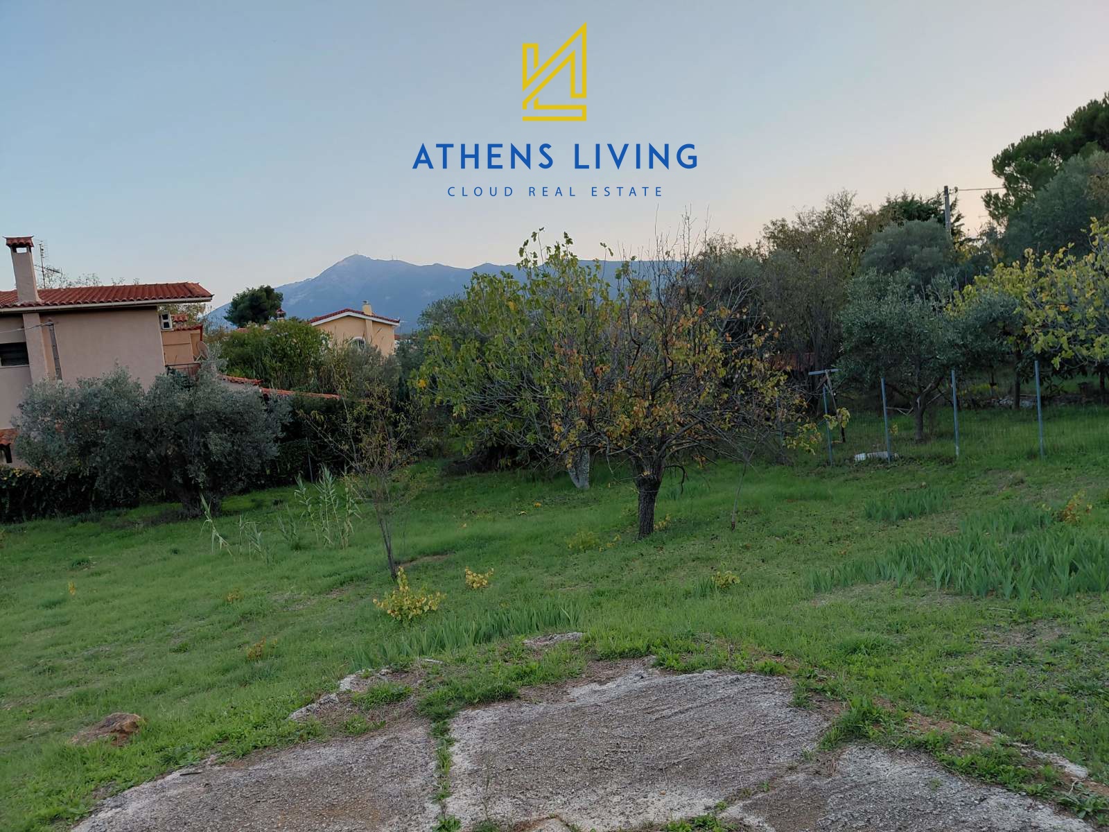 תמונת מגרש, דיוניסוס, אתונה למכירה (0)