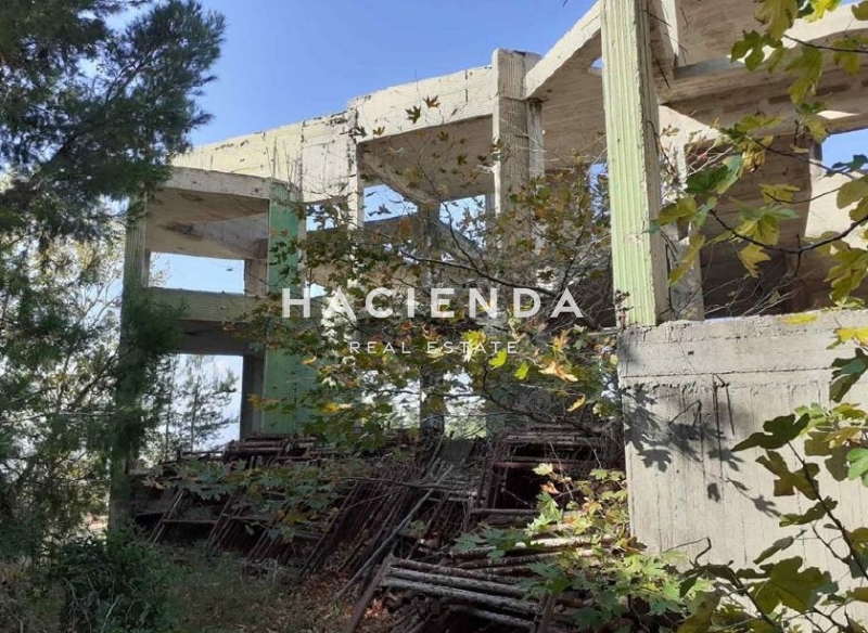 תמונת דופלקס, דיוניסוס למכירה (0)