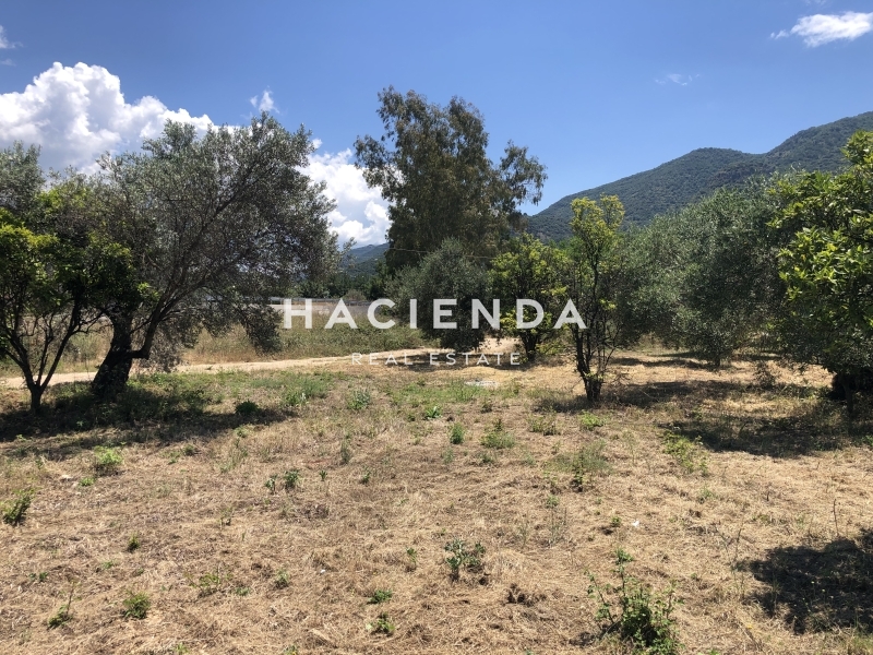 תמונת מגרש, איגומיניצה למכירה (0)