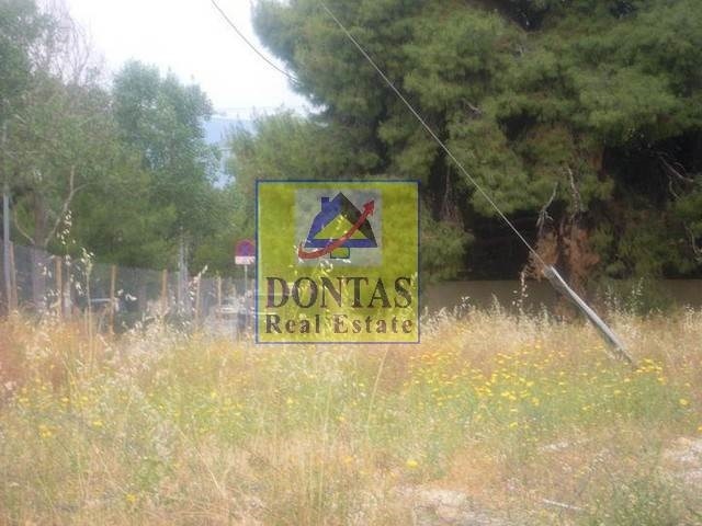 תמונת מגרש, נאה קיפיסיה, קיפיסיה למכירה (0)