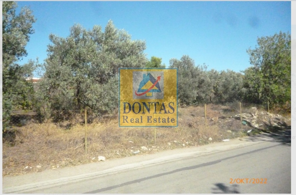 תמונת מגרש, מרוסי למכירה (0)