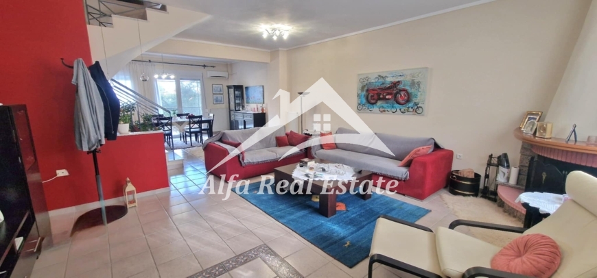 תמונת דופלקס, פריאה, תרמיקוס למכירה (0)