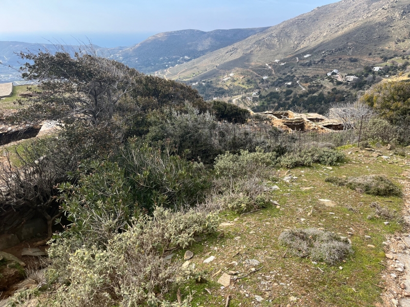 תמונת מגרש, אנדרוס למכירה (0)