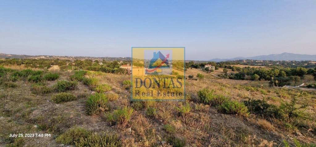 תמונת , אורופוס למכירה (0)