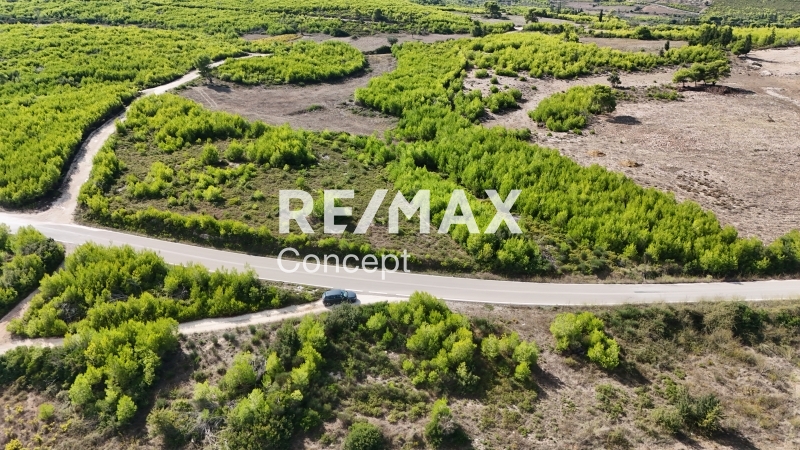 תמונת מגרש, רשות מקומית זקינתוס למכירה (0)