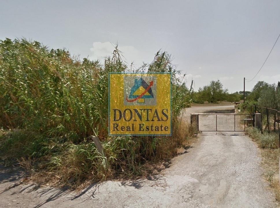 תמונת מגרש, מרוסי למכירה (0)