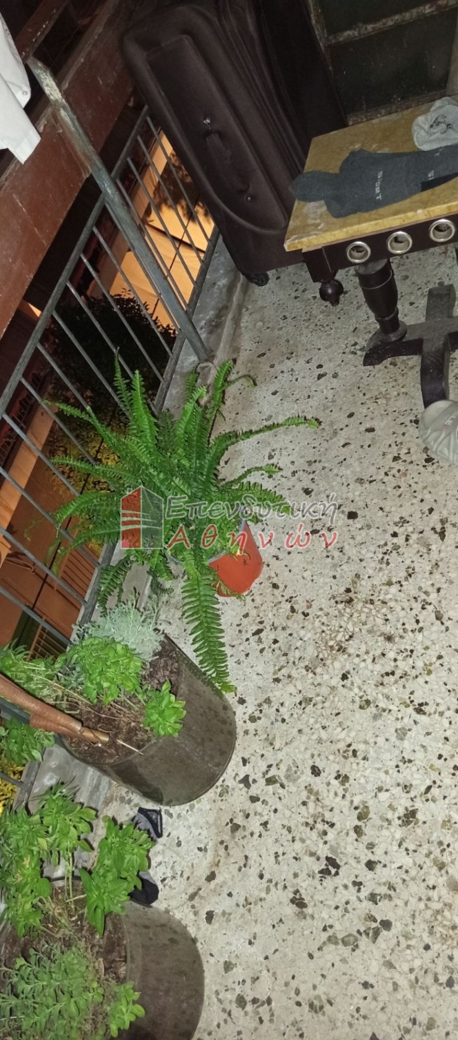 תמונת דירה, ויקטוריה, אתונה למכירה (0)