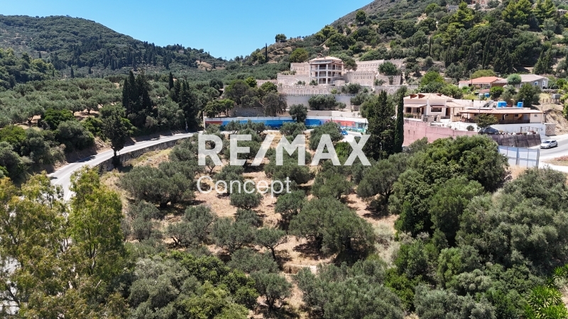 תמונת מגרש, רשות מקומית זקינתוס למכירה (0)