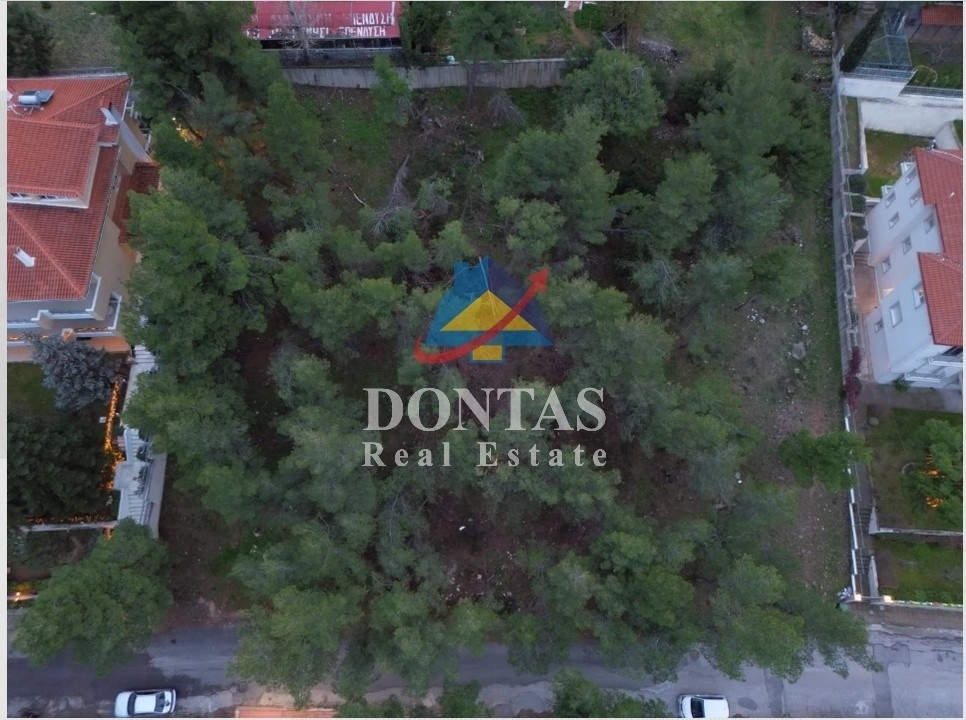 תמונת מגרש, דיוניסוס למכירה (0)