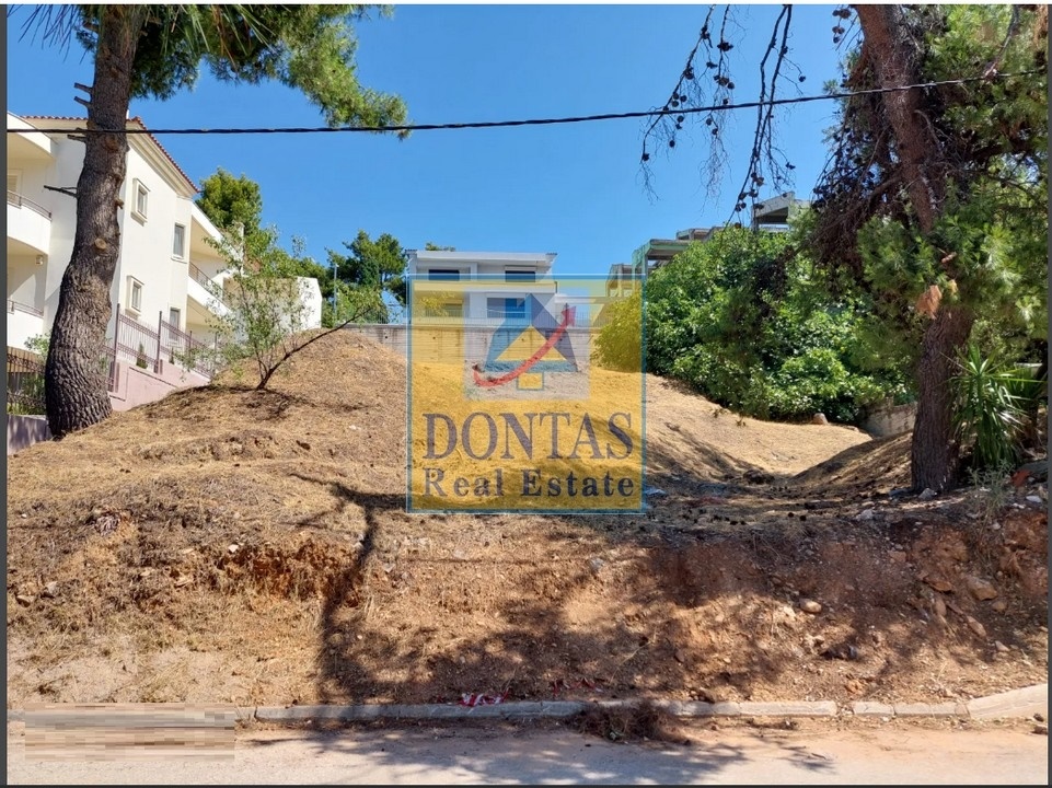 תמונת מגרש, דיוניסוס למכירה (0)