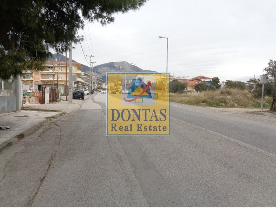 תמונת בניין, אכרניס למכירה (0)