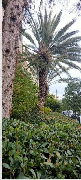תמונת דירה, ואריליסיה, אתונה למכירה (0)