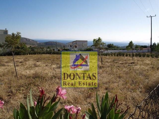 תמונת מגרש, סרוניקוס למכירה (0)