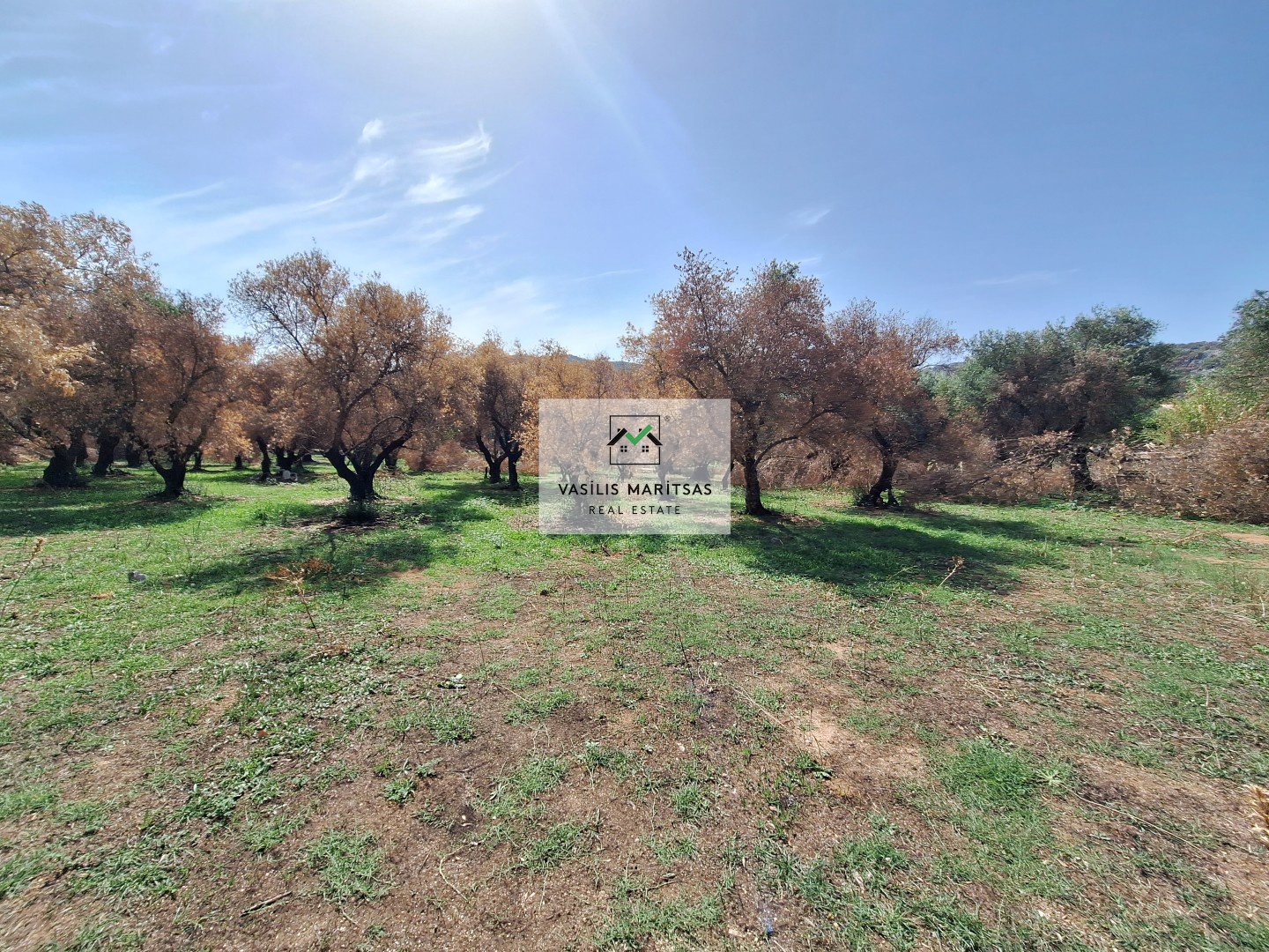 תמונת מגרש, קורפו למכירה (0)