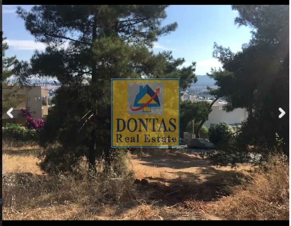 תמונת מגרש, פילותאי למכירה (0)