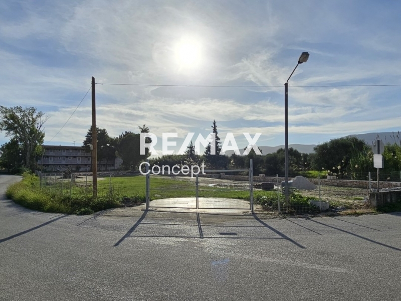 תמונת מגרש, רשות מקומית זקינתוס למכירה (0)