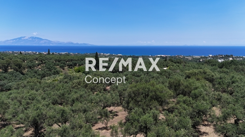 תמונת מגרש, רשות מקומית זקינתוס למכירה (0)