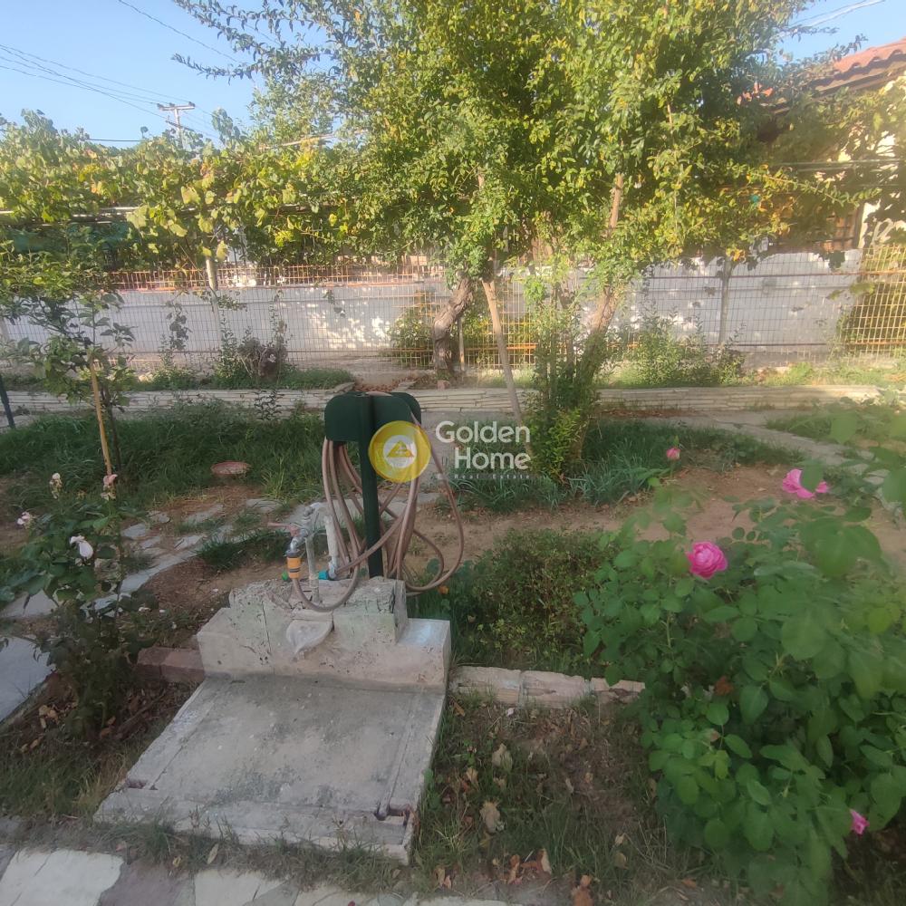 Image 0 of 12