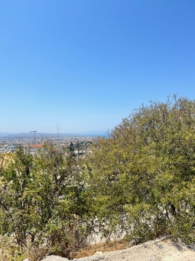 תמונת מגרש, חאלפה, חאניה למכירה (0)