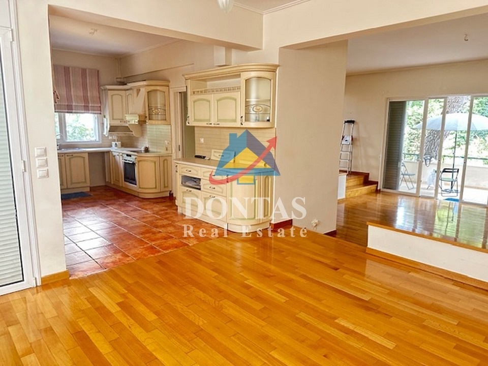 תמונת דופלקס, דיוניסוס למכירה (0)