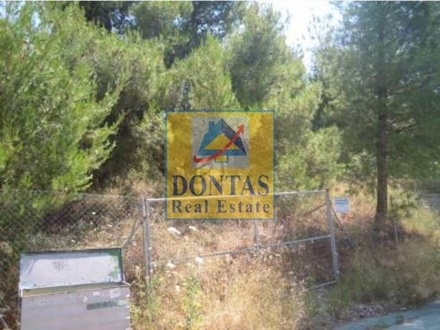 תמונת מגרש, דיוניסוס למכירה (0)