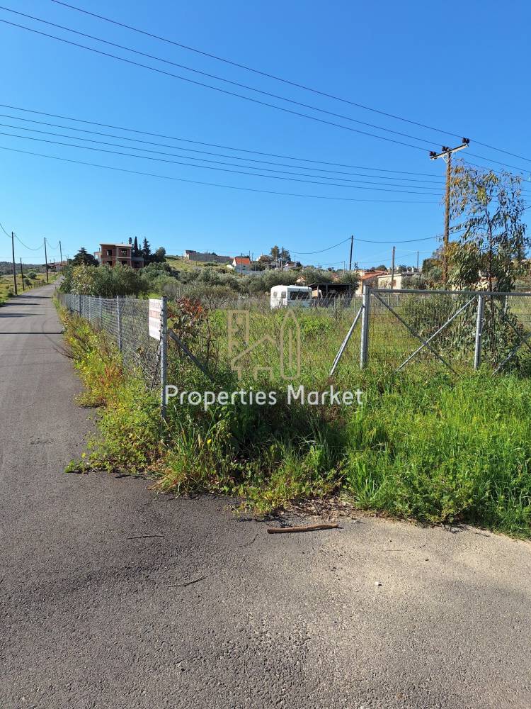 תמונת שטח חקלאי, לאבראוטיקי, אתונה למכירה (0)