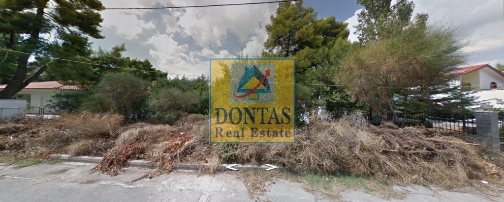 תמונת מגרש, דיוניסוס למכירה (0)