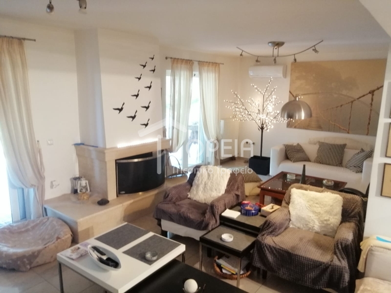 תמונת דופלקס, סרוניקוס למכירה (0)