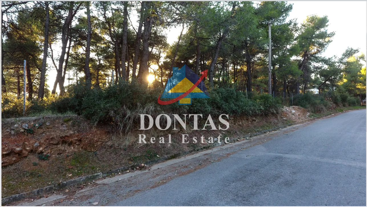 תמונת מגרש, דיוניסוס, אתונה למכירה (0)