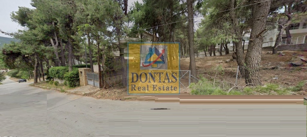 תמונת מגרש, דיוניסוס למכירה (0)