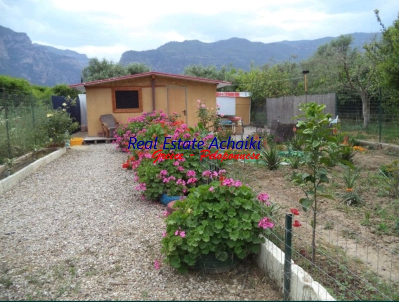 תמונת בית, איגאליאה, פלופונס למכירה (0)