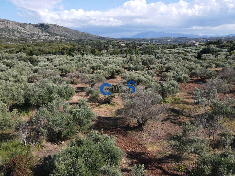 תמונת מגרש, אפוקורנס, כרתים למכירה (0)